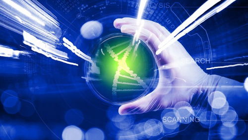 科技部 中國將積極參與國際科技倫理規(guī)范的制定